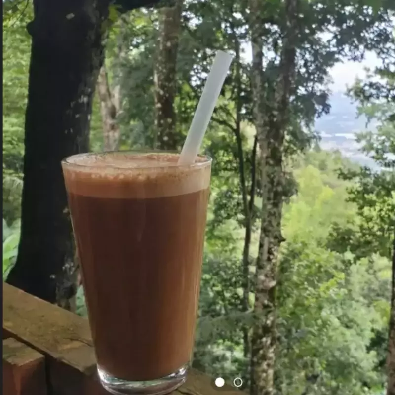 MOCHA ALMABRISA  🆕