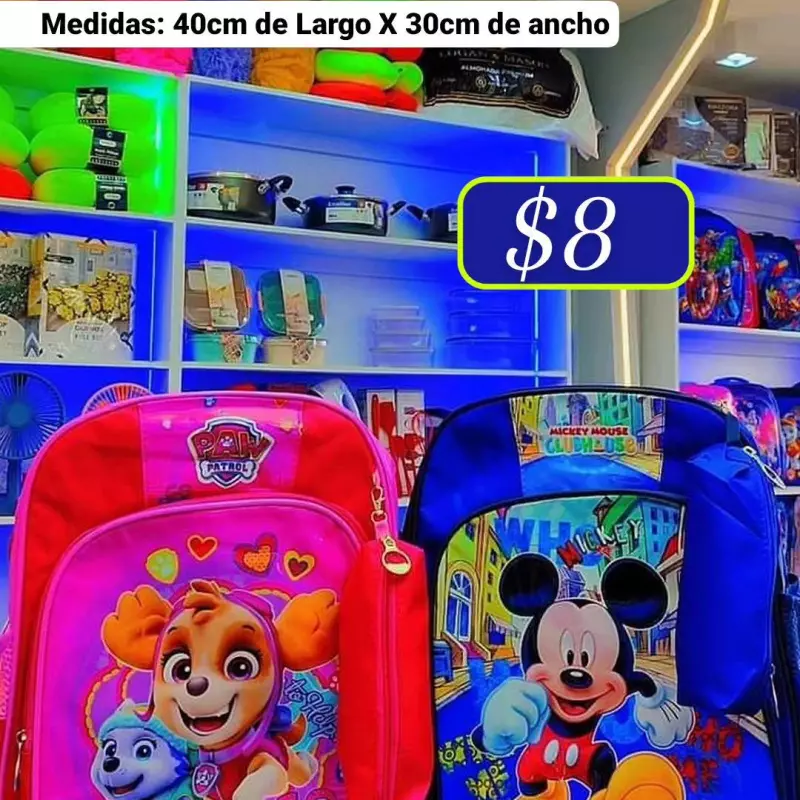 Bolsos Escolares con cartuchera