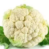 Coliflor x unidad (113)