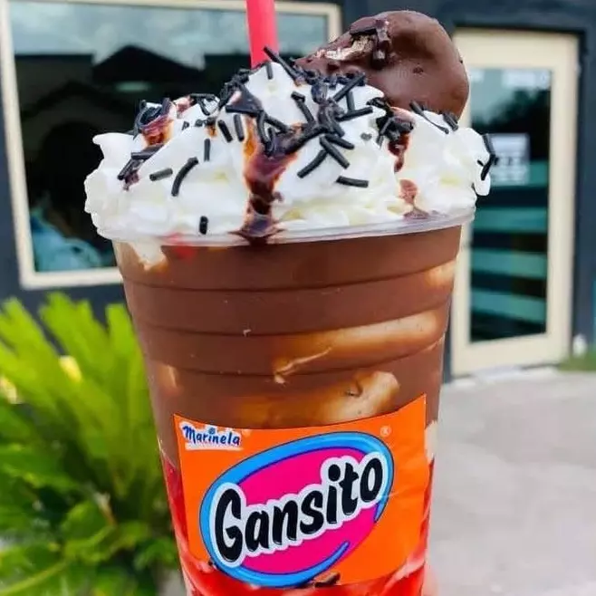 GANSITO