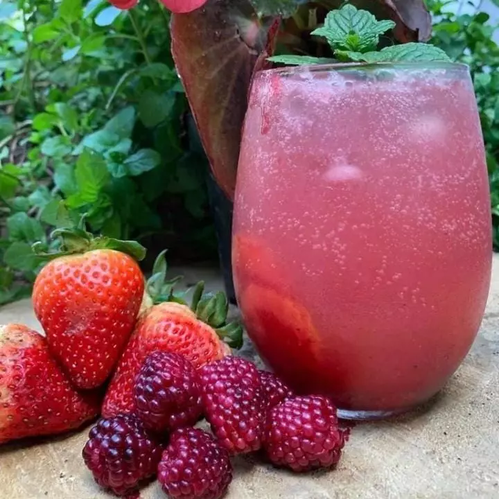 SODA DE FRUTOS ROJOS