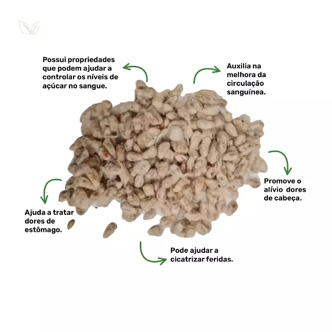 Semente de algodão - 30g