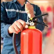 SALUD SEGURIDAD E HIGIENE OCUPACIONA