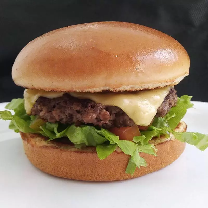 Burguer salada (artesanal)
