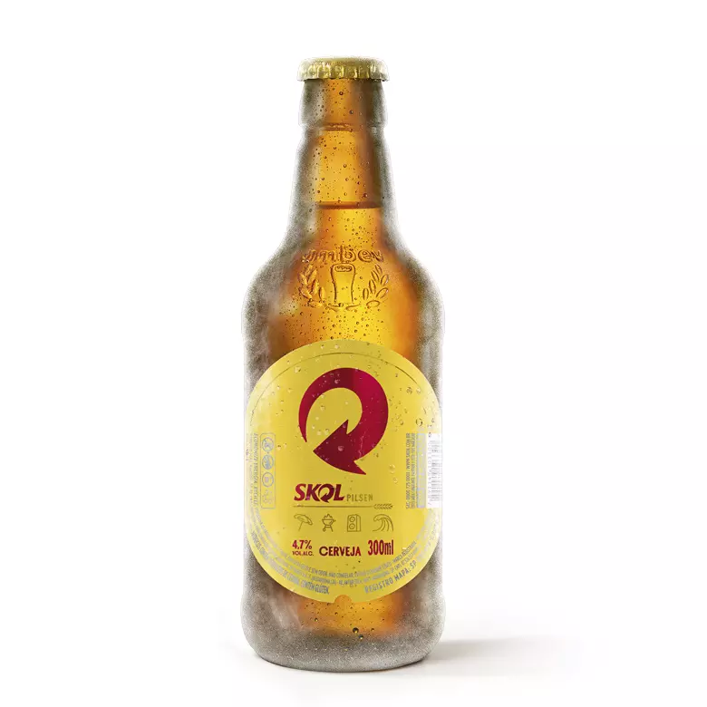 Skol 300ml 🍺
