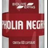 PHOLIA NEGRA - 60 CÁPS - 500 MG