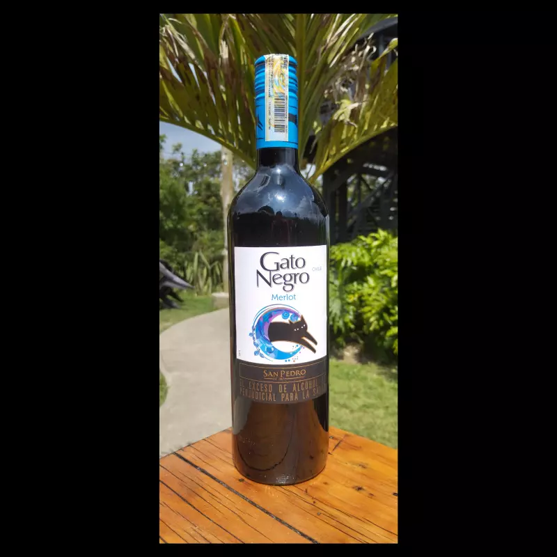 Botella de vino gato negro merlot