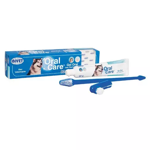 Oral Care