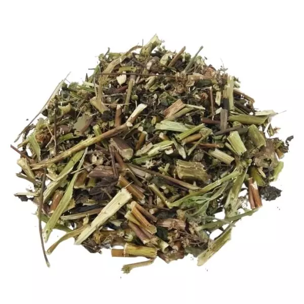 Artemísia 100 gr
