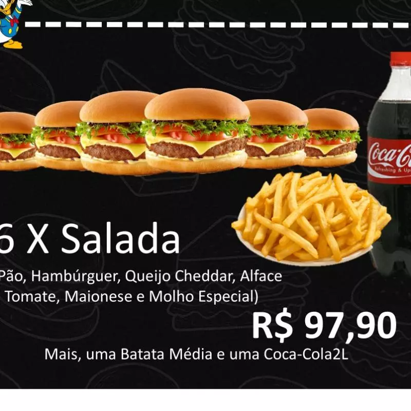 6 SALADA BURGUER (IND)