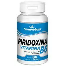 VITAMINA B6 - PIRIDOXINA - 60 CÁPS - 240MG