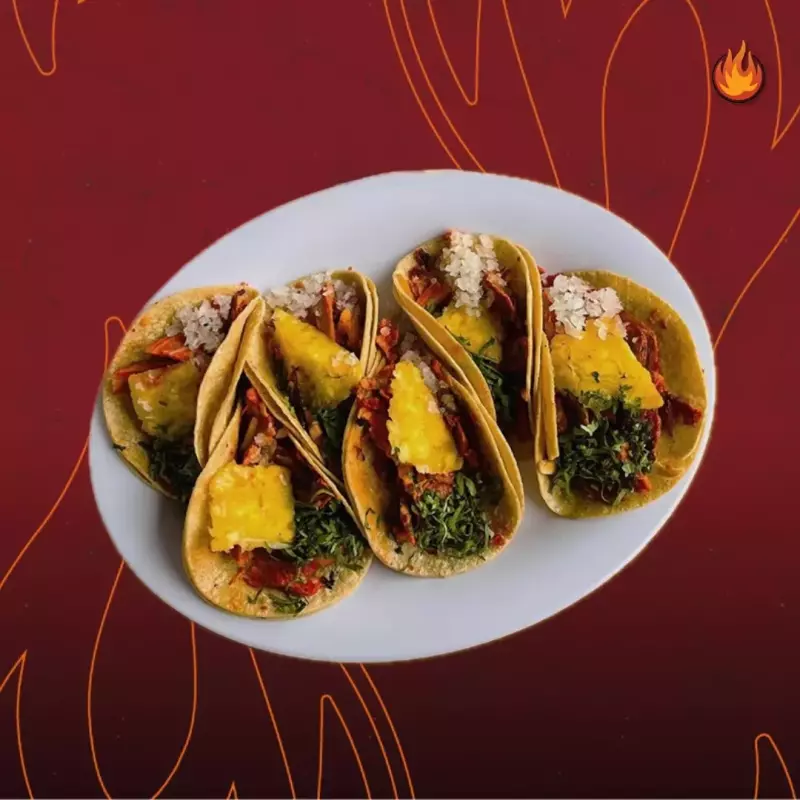 Media Docena Taquera