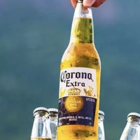 CORONA  - LONG NECK (330 ml)