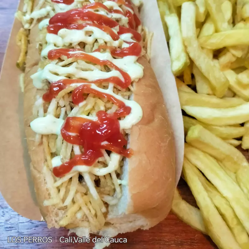 PERRO SENCILLO