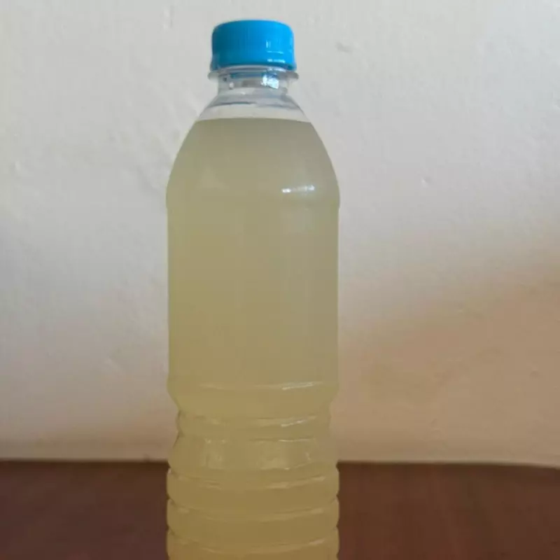 Pepino limón y chía