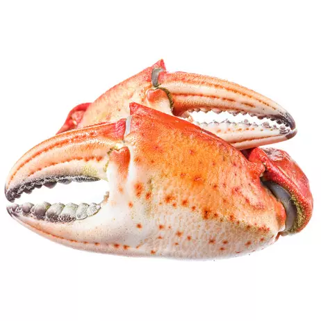 TENAZA DE CANGREJO 蟹钳