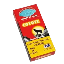 Coyote