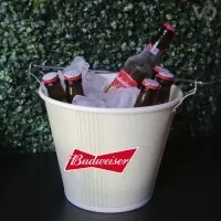 Balde C/6 Budweiser Long Neck