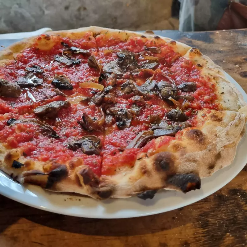 CAROLINA (Roja) 💚