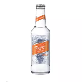 Tônica Antarctica Gengibre 275ml