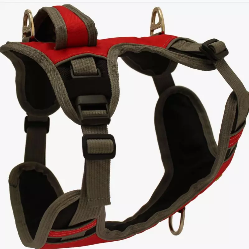 ARNES CANICROSS TORMENTA