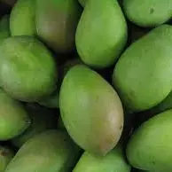 MANGO VERDE KILO
