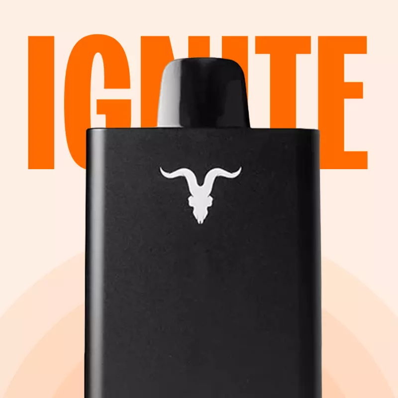 IGNITE V55 ULTRA - 5.500 PUFF 💨