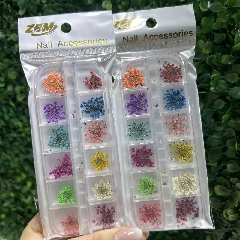 Flor Seca Minimalistas N•2