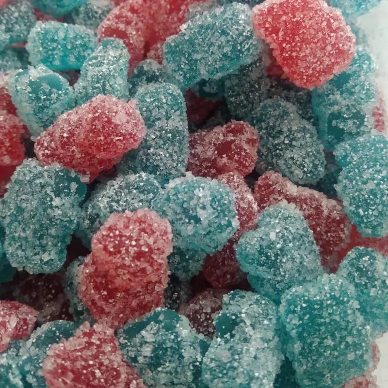 OSITOS ICEE 100 GR.