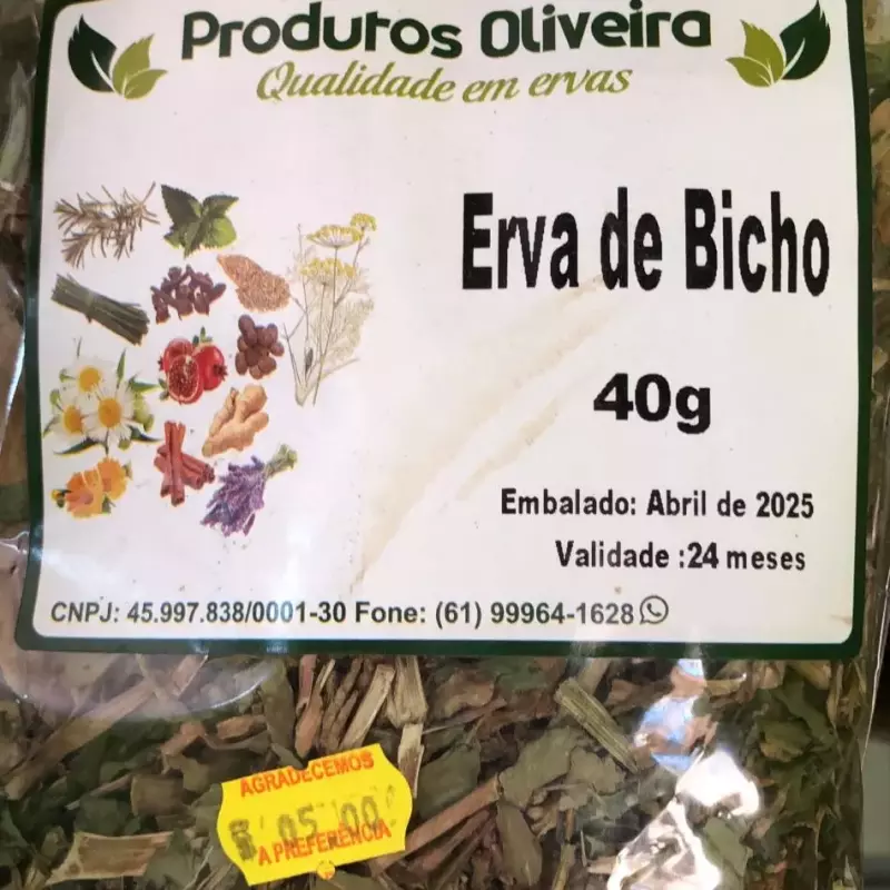 Erva de bicho