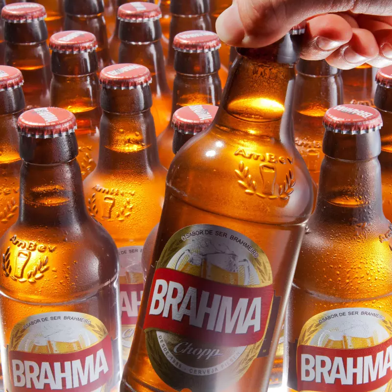 BRAHMA LITRINHO 24UN