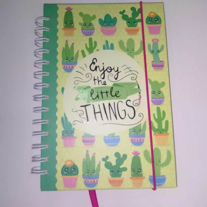 Cuaderno tipo agenda Pointer.