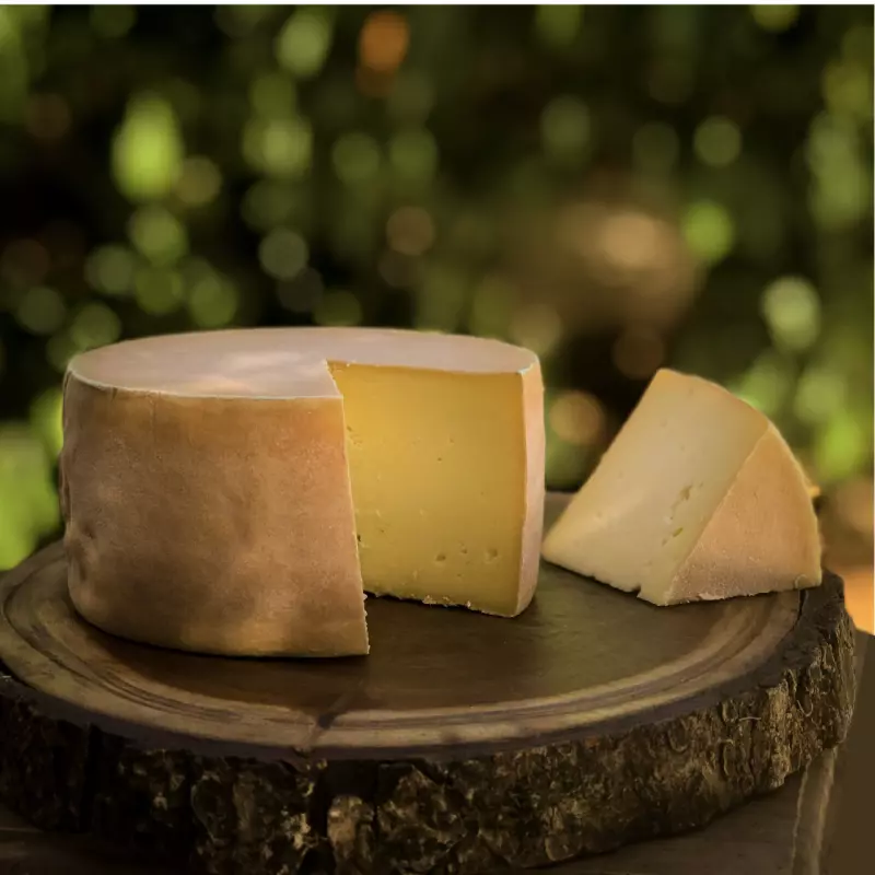 QUEIJO ALPINO 750G