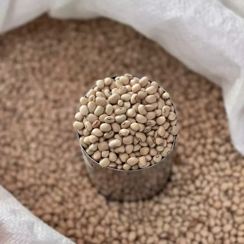 Feijão de corda branco