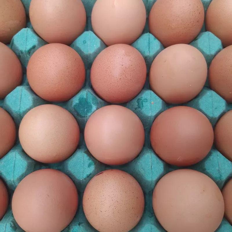 Ovos Vermelhos (Néia)