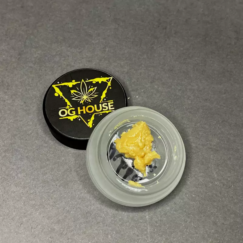 Bubble Gumm INDICA💛