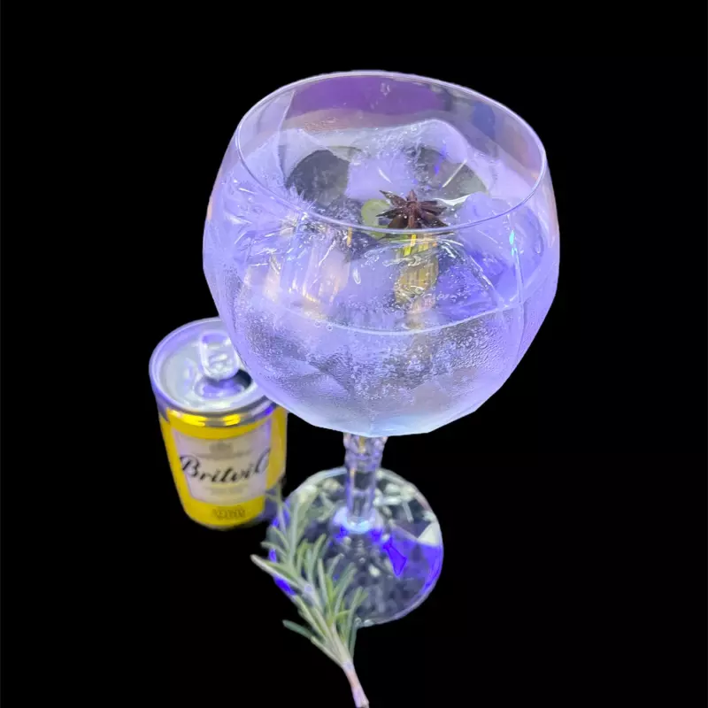 GIN TONIC
