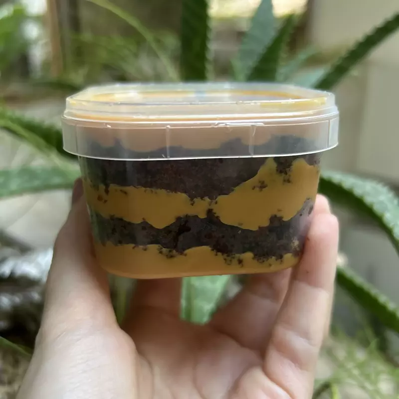 MINI Choco com doce de leite