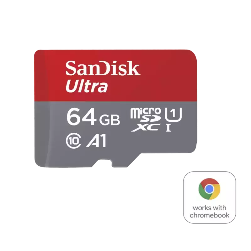 Micro SD Sandisk (256 GB)