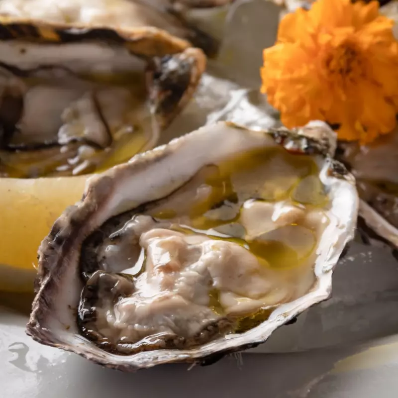 Ostras Frescas