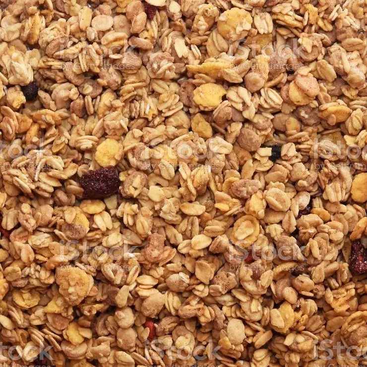 Granola diet 100gr