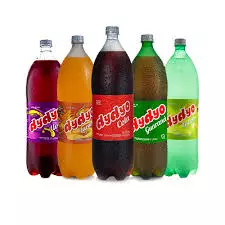 Refrigerante Dydyo 2L