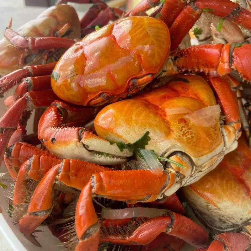 Caranguejo inteiro pre cozido 6