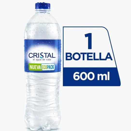 Botella De Agua 600mL