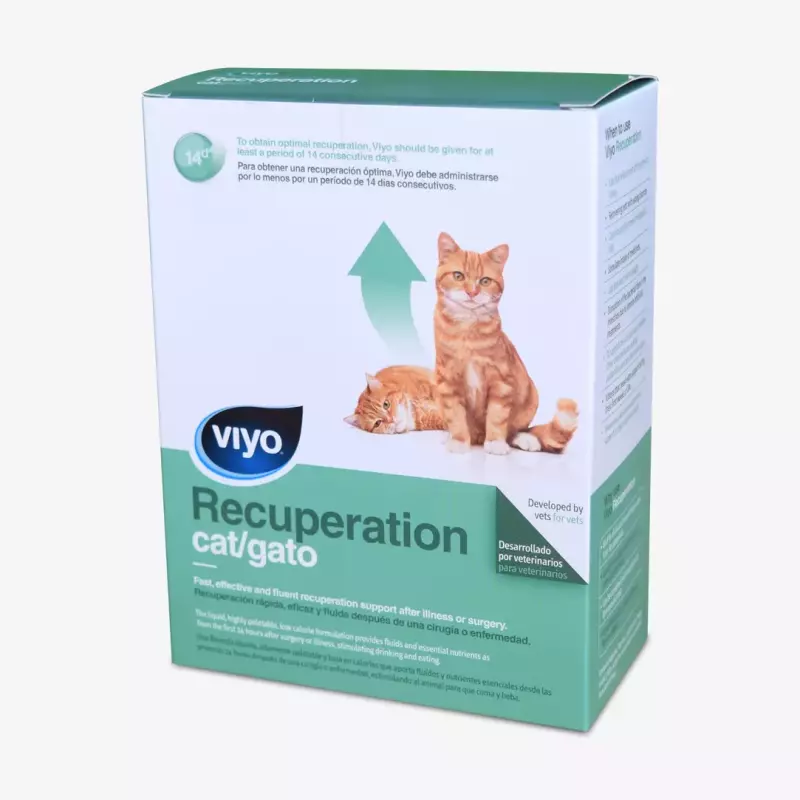Viyo Recuperation (felino)