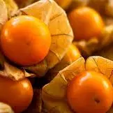 UCHUVA PELADA BANDEJA