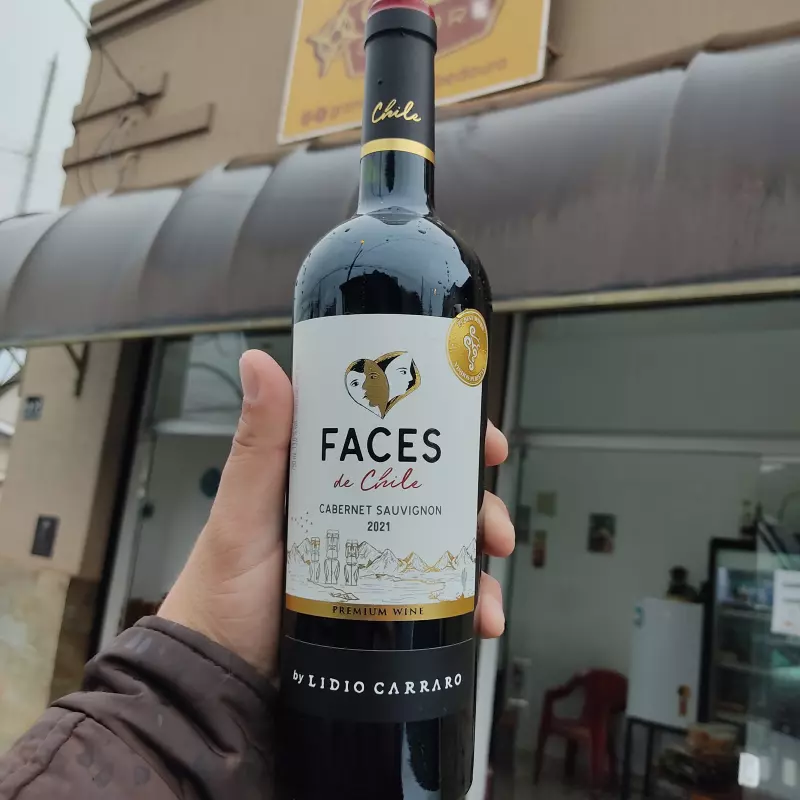 Vinho Lidio Carraro Faces do Chile