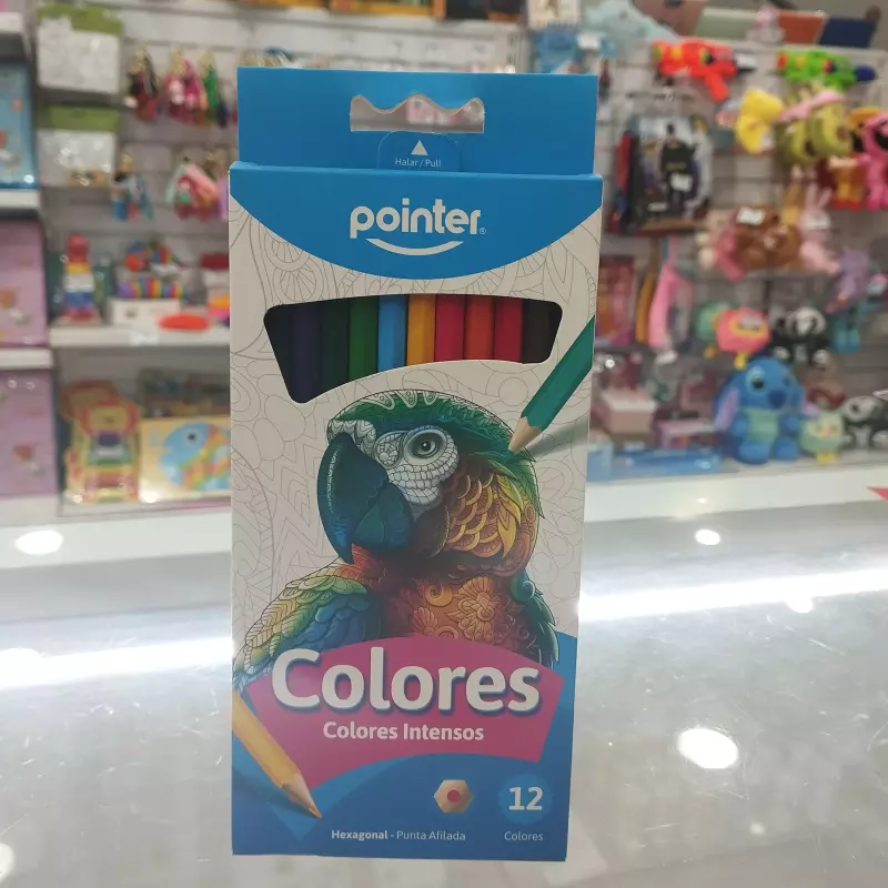 Colores 12 piezas pointer