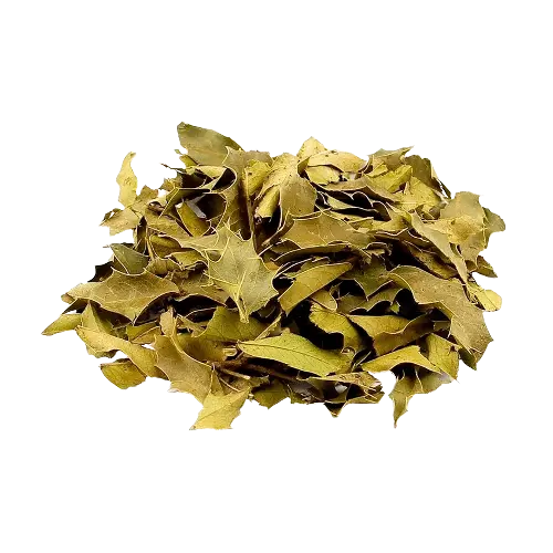 Espinheira Santa - 100g