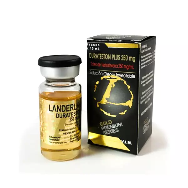 LANDERLAN DURATESTON PLUD GOLD AMP